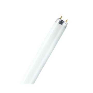 Osram 517957 58w 840 5ft T8 Flourescent Tube